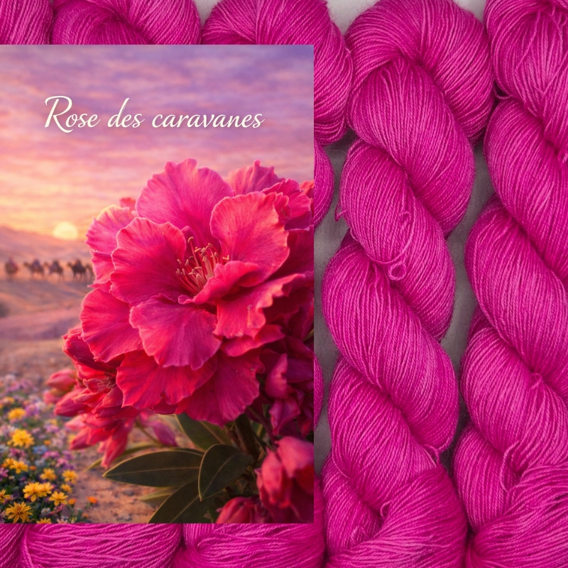 Memphis Rustic - Rose des Caravanes